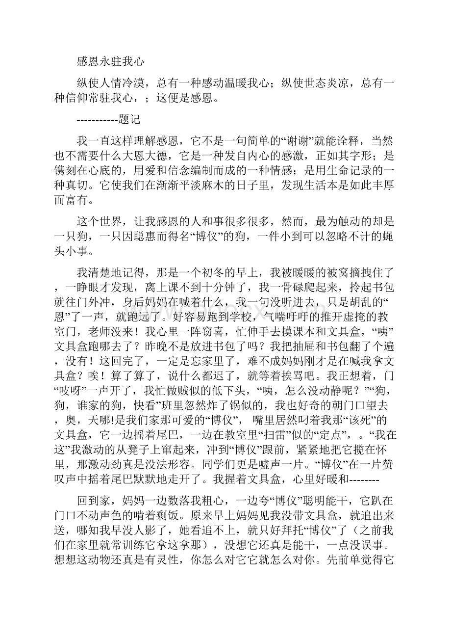 初中生感恩演讲稿感恩永驻我心与初中生放飞梦想演讲稿汇编.docx_第3页