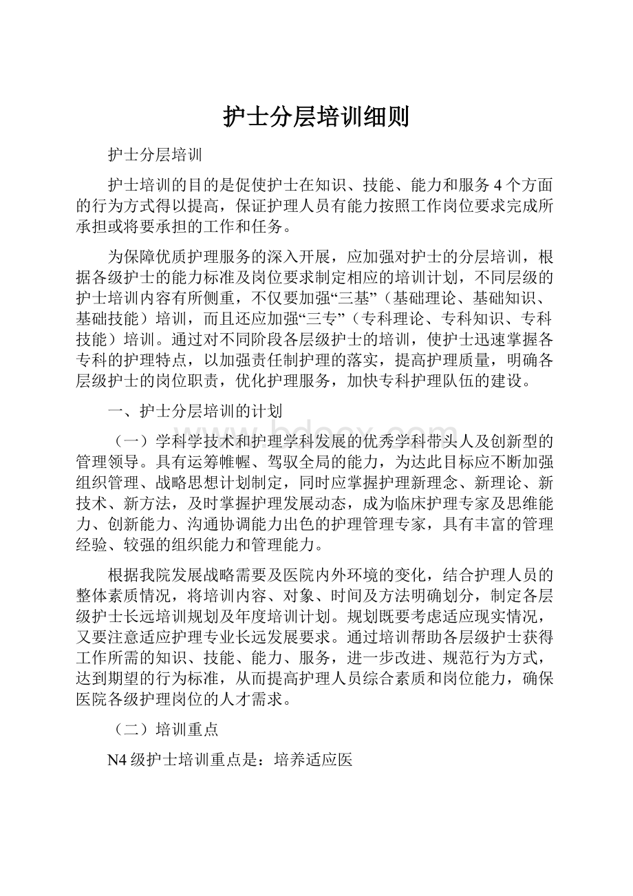 护士分层培训细则Word文档格式.docx