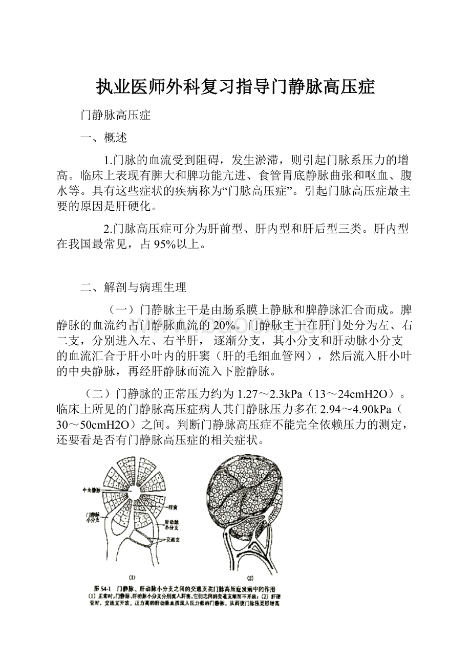 执业医师外科复习指导门静脉高压症.docx