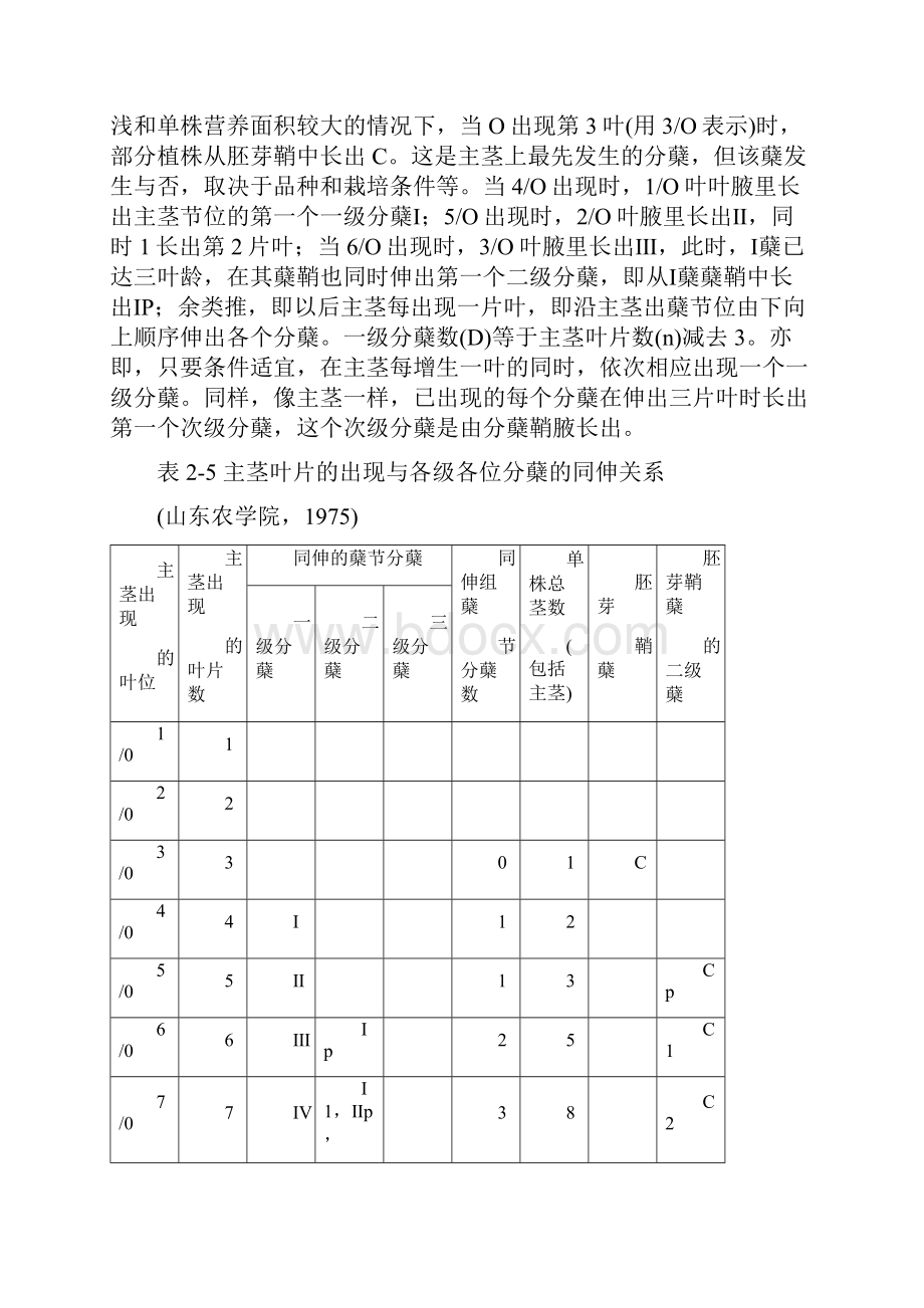 小麦分蘖规律与成穗.docx_第3页