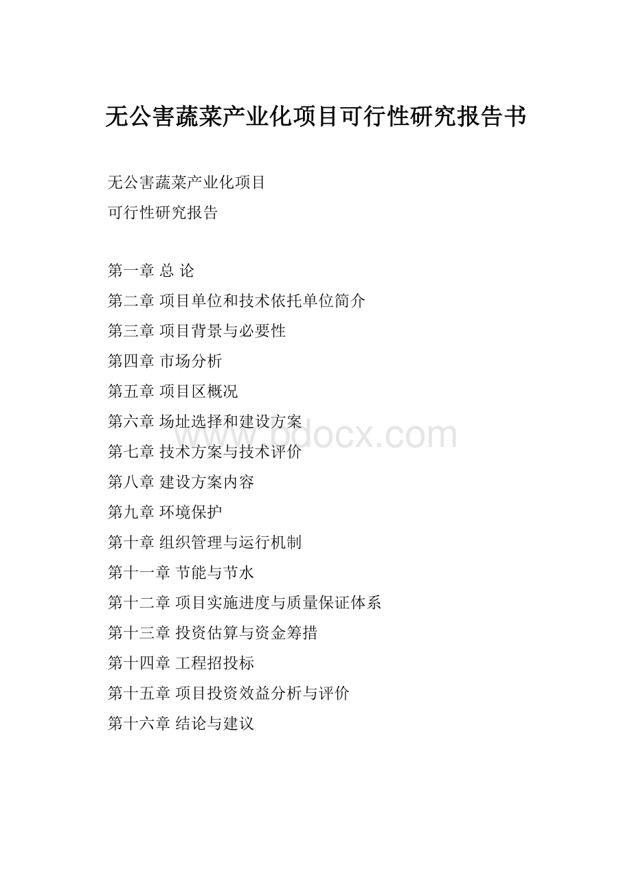 无公害蔬菜产业化项目可行性研究报告书Word格式文档下载.docx