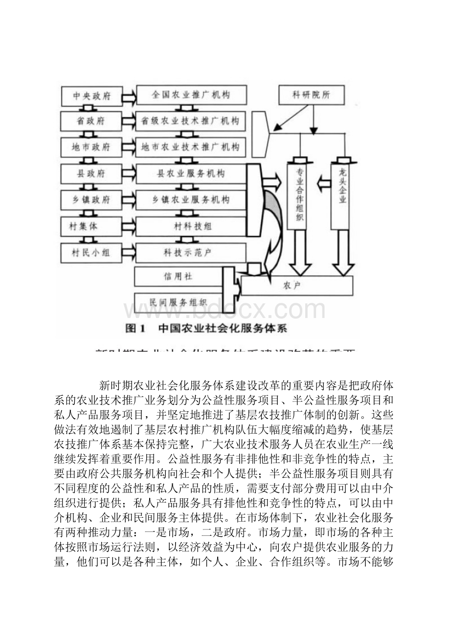 农业社会化服务体系的现状问题和对策研究Word格式文档下载.docx_第3页