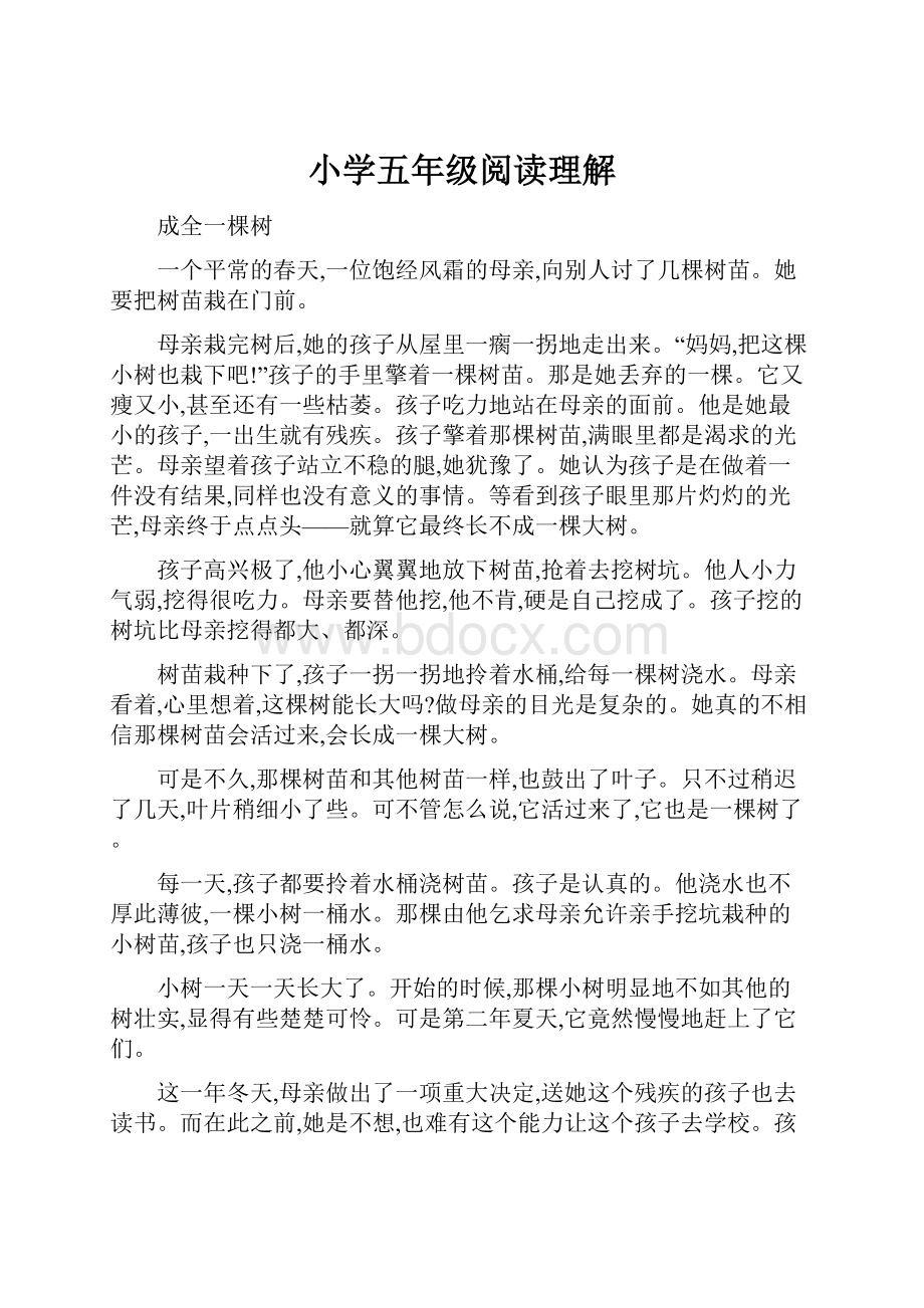 小学五年级阅读理解Word文档下载推荐.docx_第1页