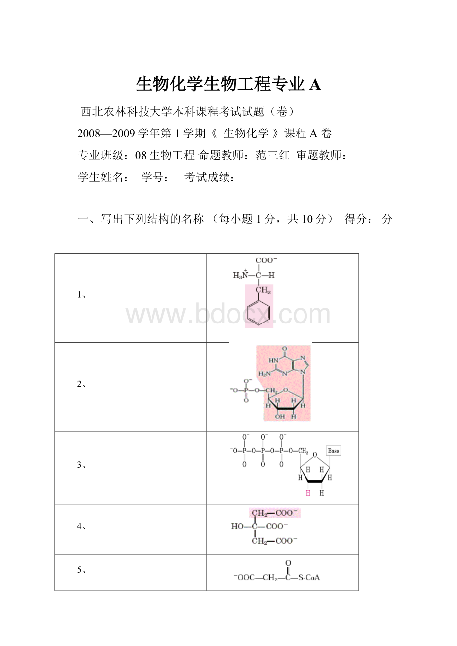 生物化学生物工程专业 A.docx