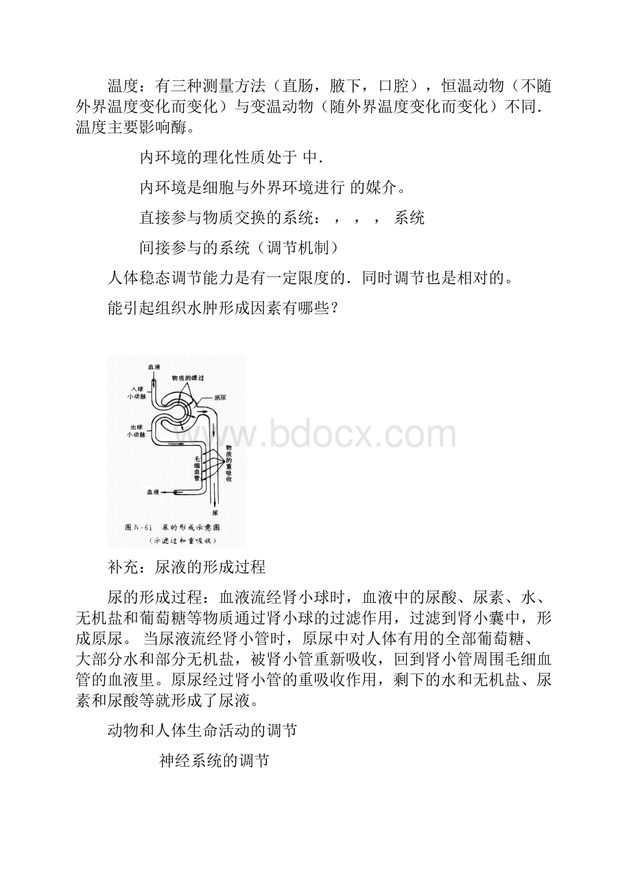 高中生物必修三知识点总结填空形式.docx_第3页