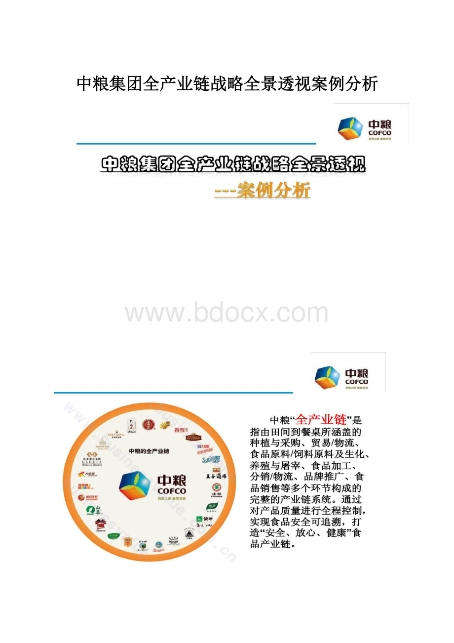 中粮集团全产业链战略全景透视案例分析Word文件下载.docx_第1页