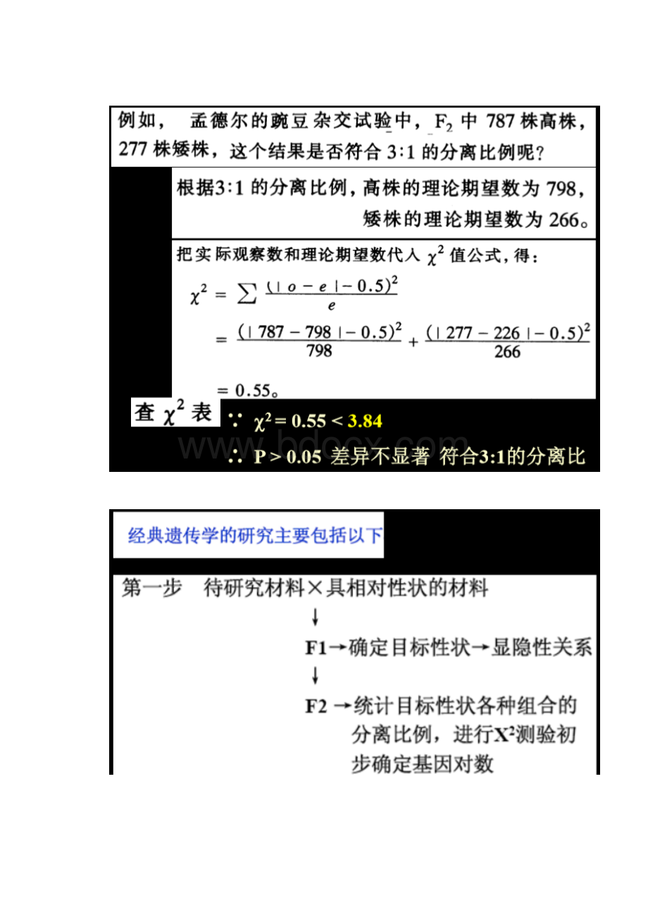 遗传学复习总结Word格式文档下载.docx_第3页