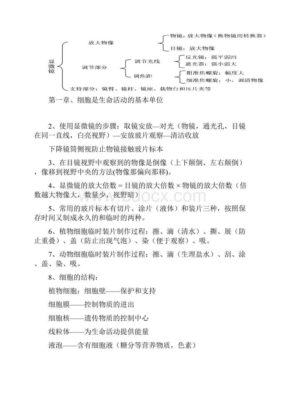 人教版七年级上册生物复习提纲Word下载.docx_第3页