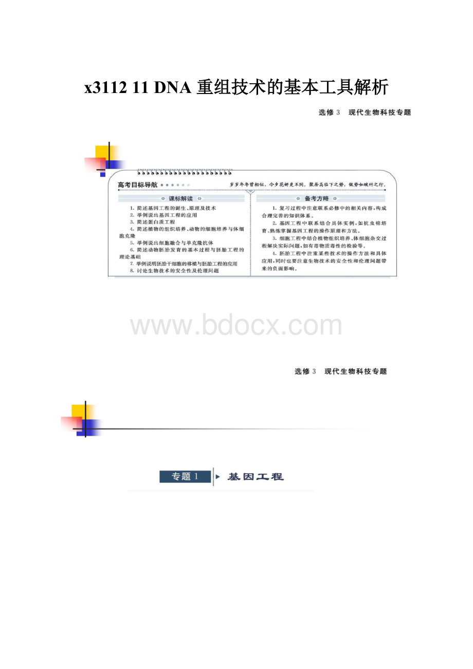 x311211DNA 重组技术的基本工具解析.docx