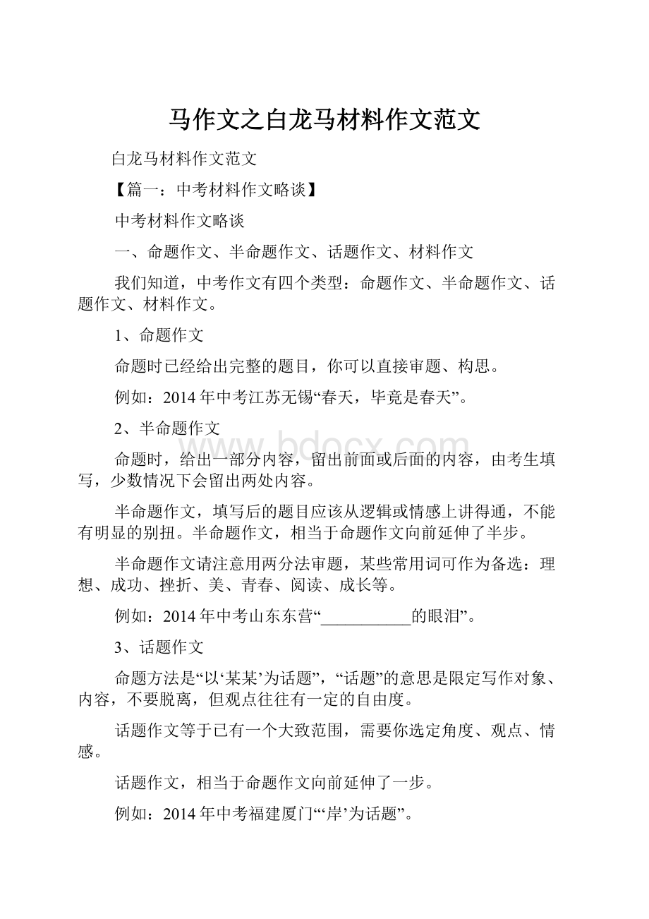 马作文之白龙马材料作文范文Word文档格式.docx