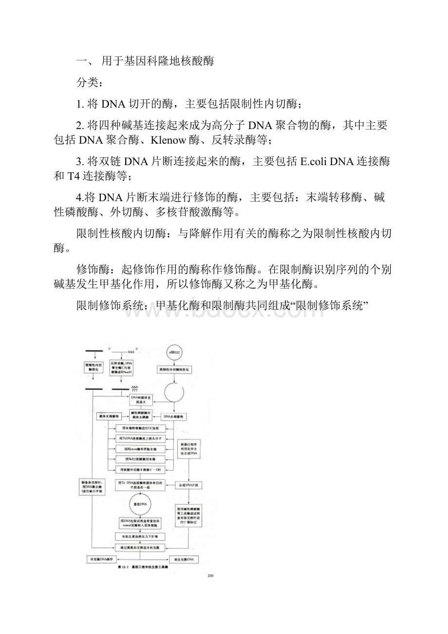 第十二章 基因工程 分子克隆.docx_第2页