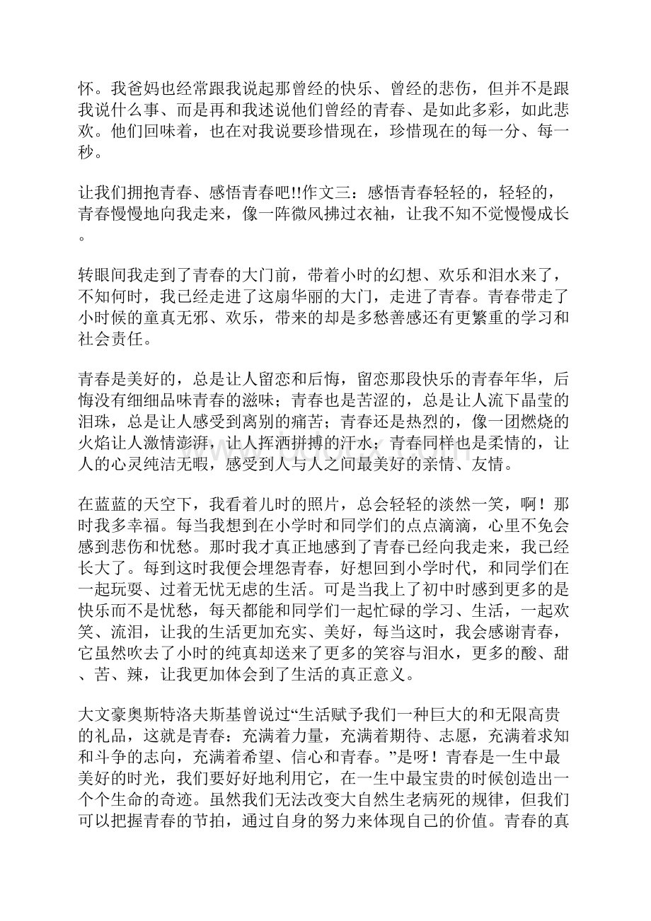 感悟青春作文文档格式.docx_第2页