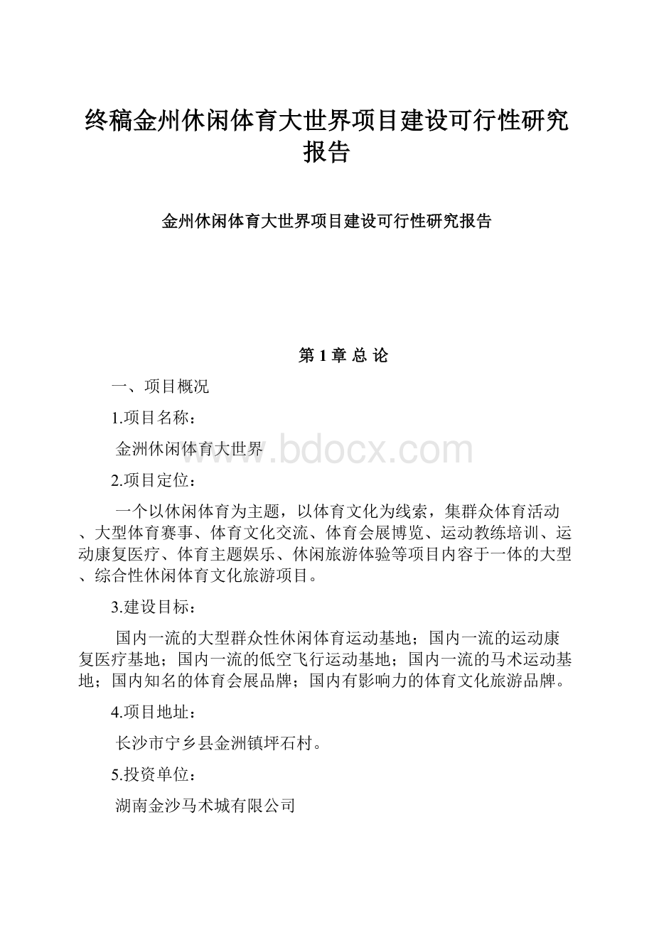 终稿金州休闲体育大世界项目建设可行性研究报告.docx