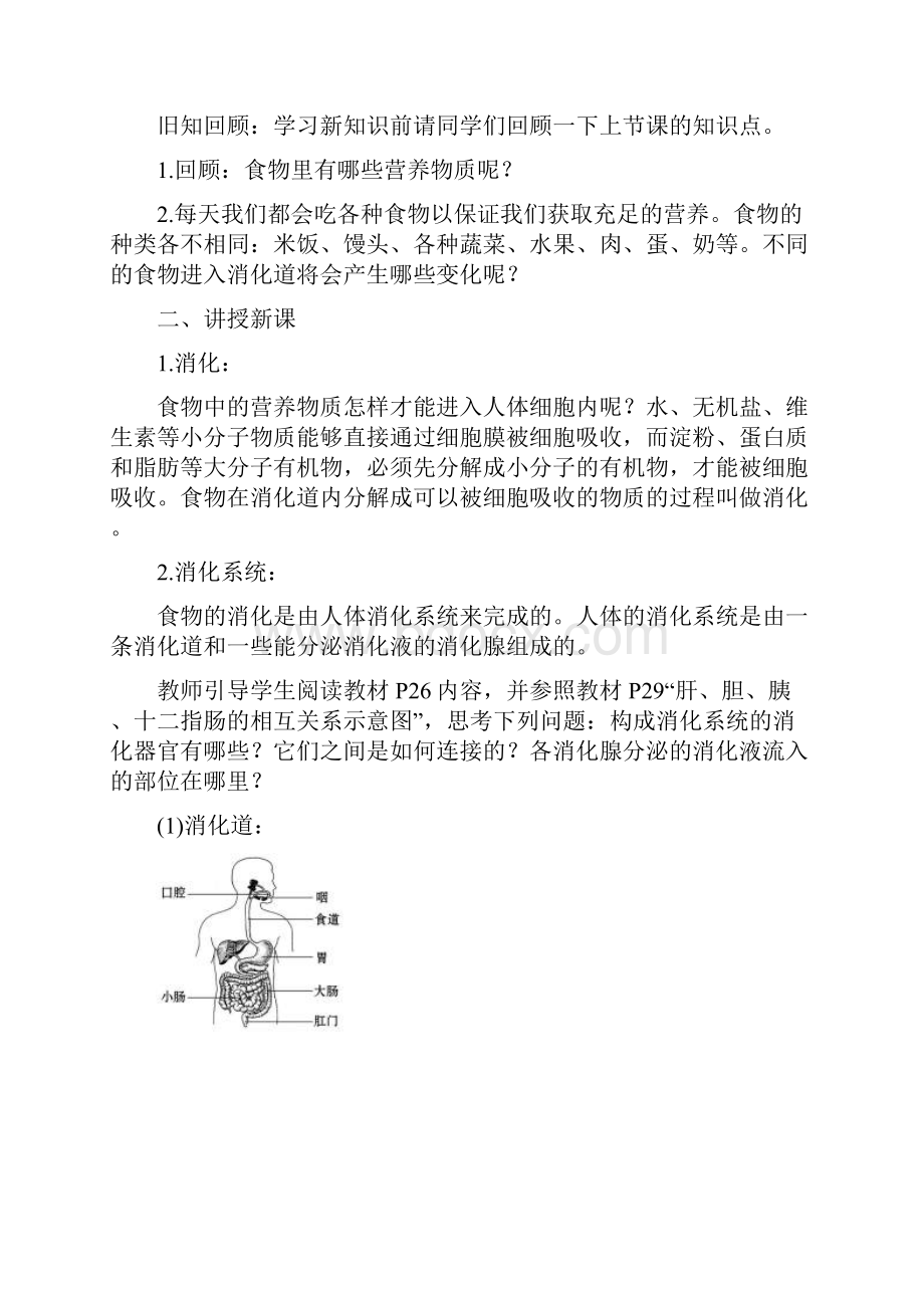 最新生物七年级下册《 第2章 第2节 消化和吸收 》省优质课一等奖教案Word文档下载推荐.docx_第3页