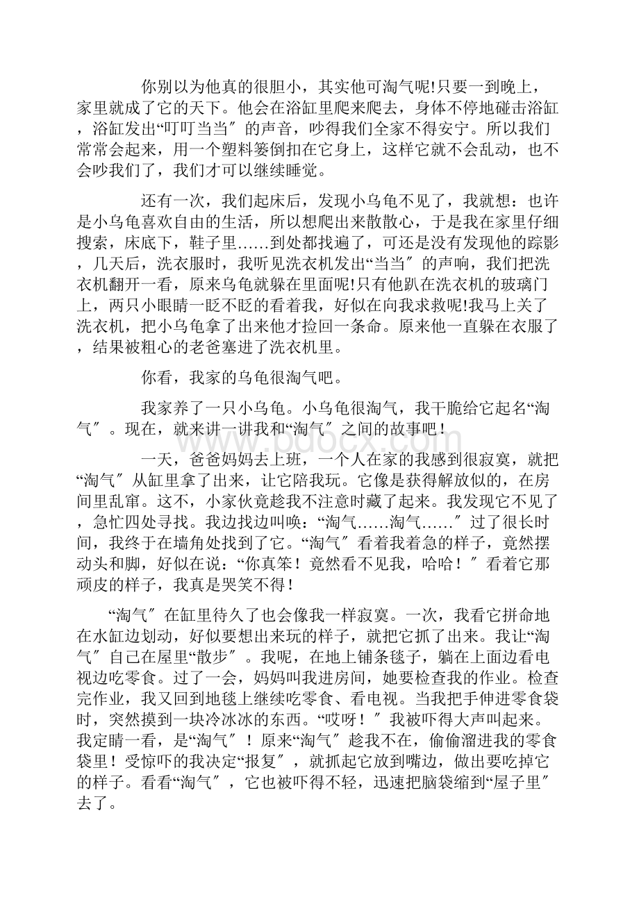 淘气的小乌龟作文15篇精选文档格式.docx_第2页