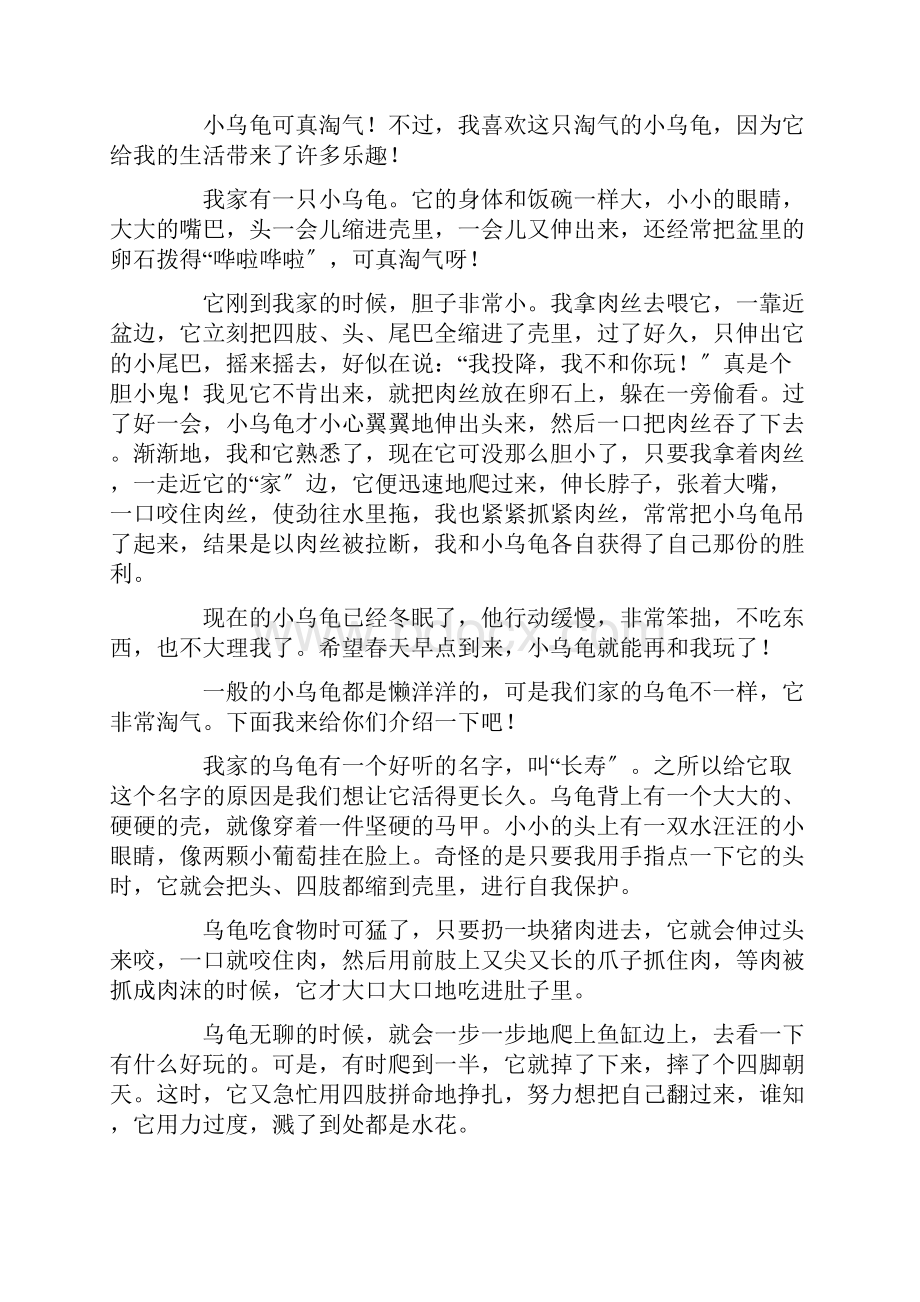 淘气的小乌龟作文15篇精选文档格式.docx_第3页