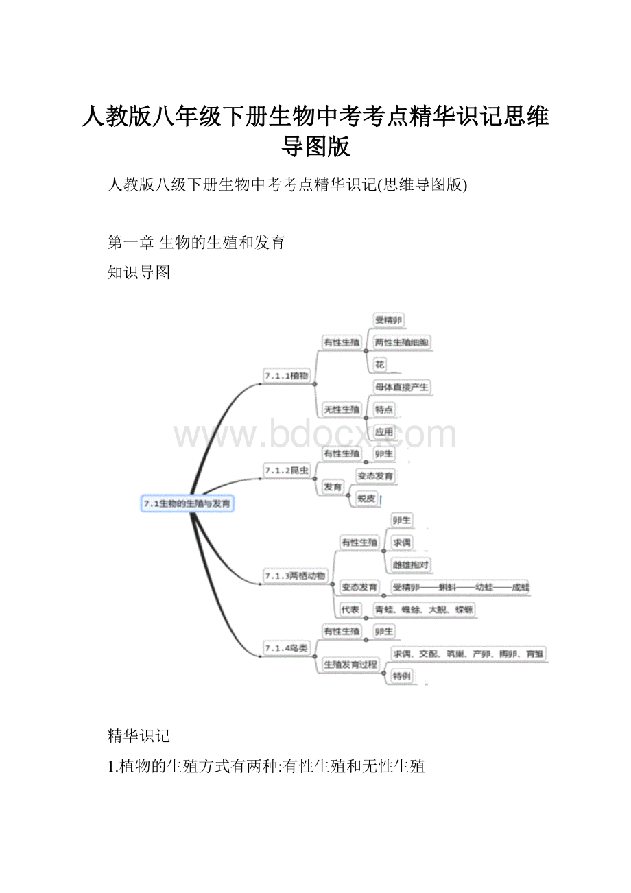 人教版八年级下册生物中考考点精华识记思维导图版.docx_第1页