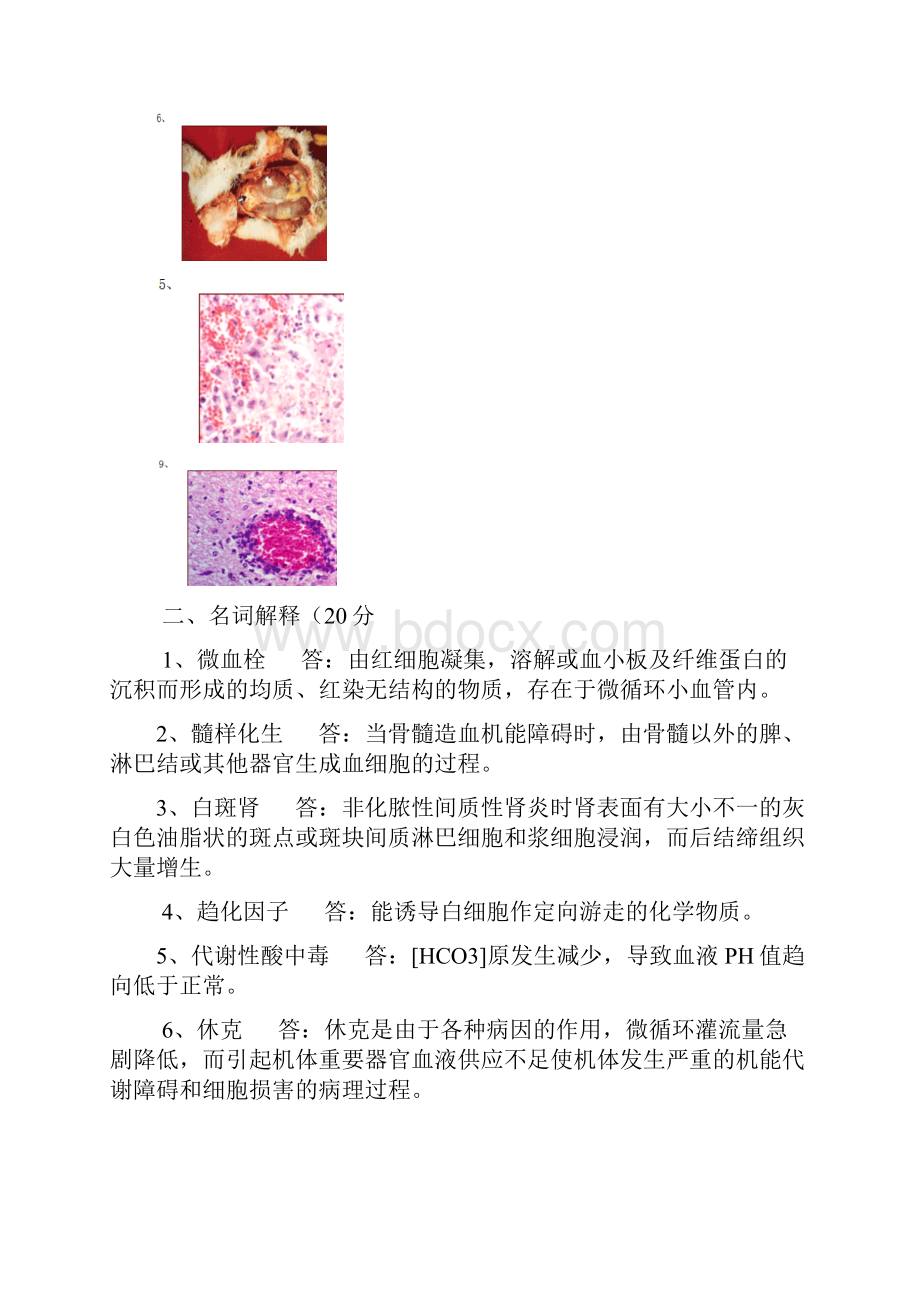 《动物病理学》1模拟试题16套.docx_第3页