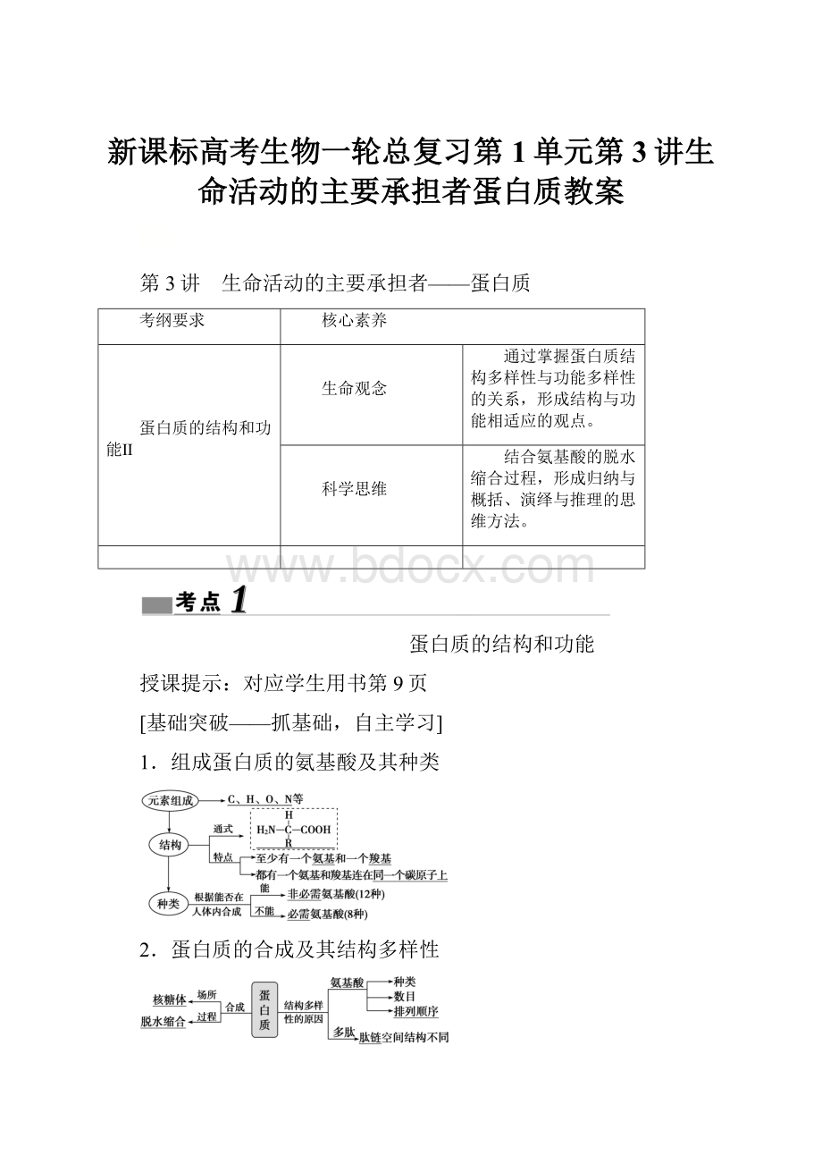 新课标高考生物一轮总复习第1单元第3讲生命活动的主要承担者蛋白质教案Word文档下载推荐.docx