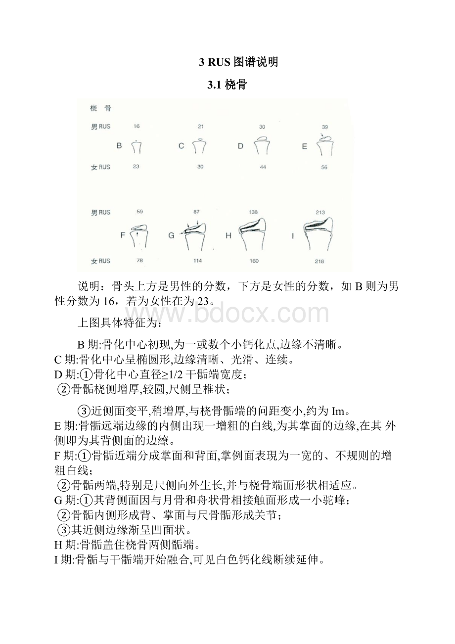 TW3骨龄评分法解释.docx_第3页