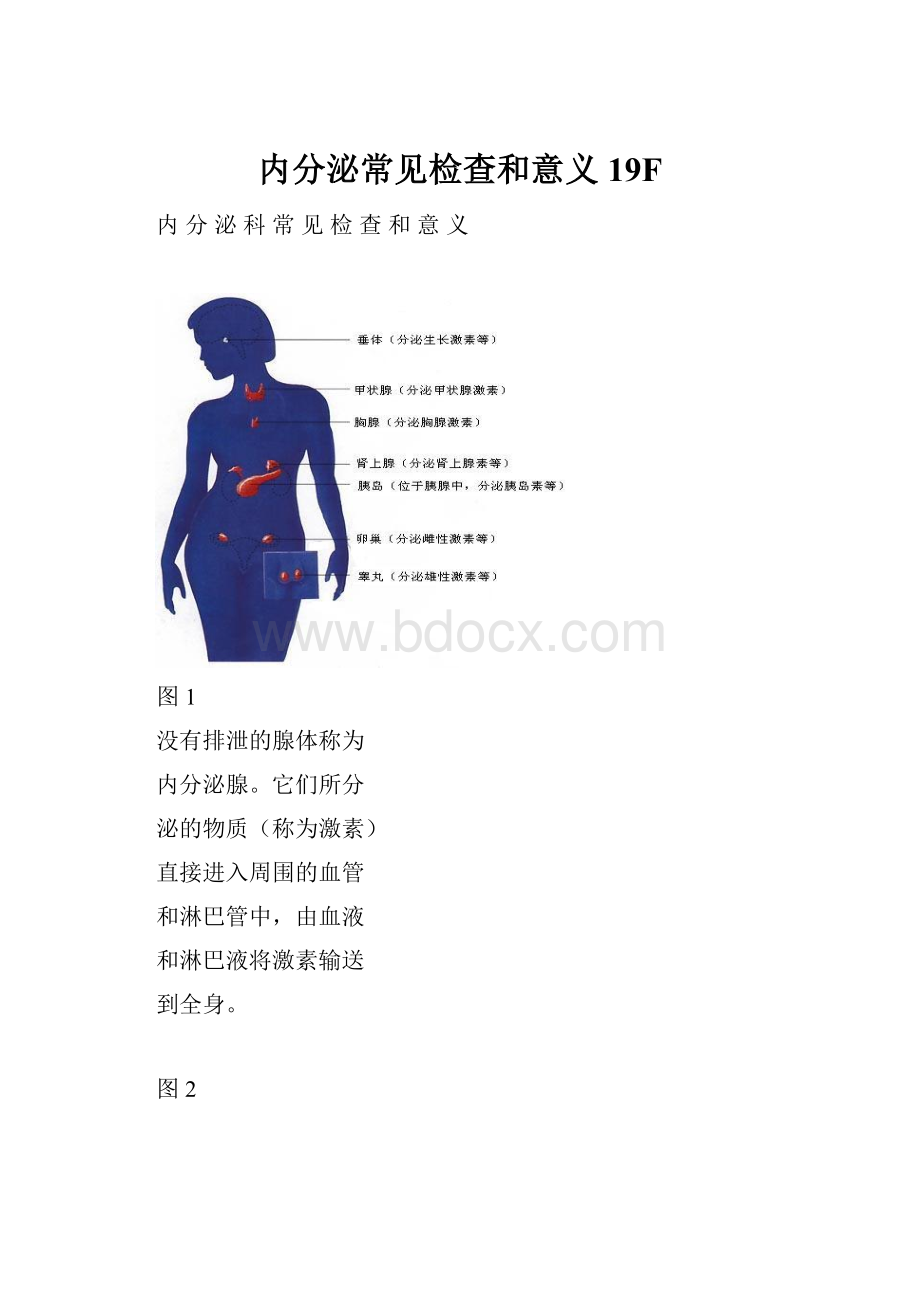 内分泌常见检查和意义19FWord格式文档下载.docx_第1页