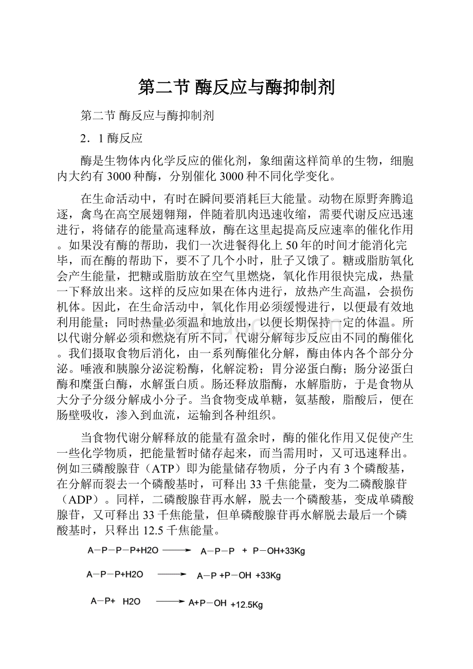 第二节 酶反应与酶抑制剂Word文件下载.docx