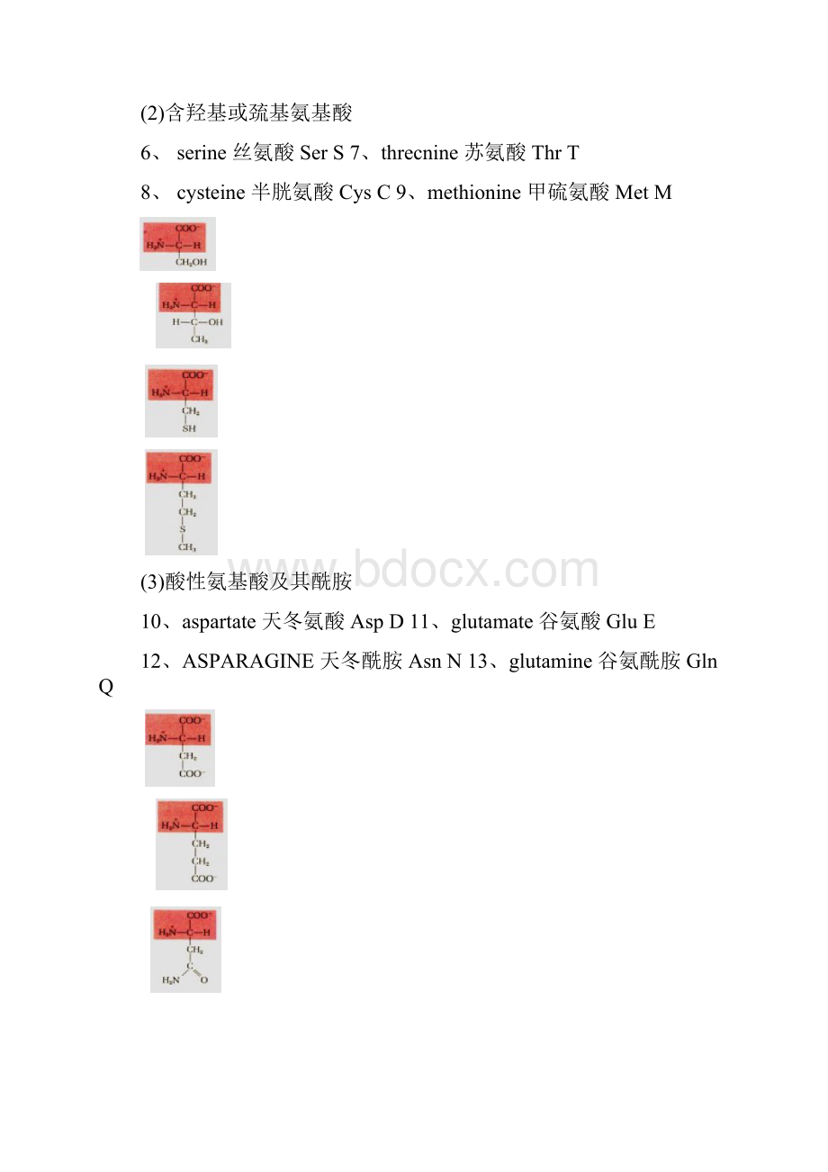 生物化学复习指南.docx_第3页