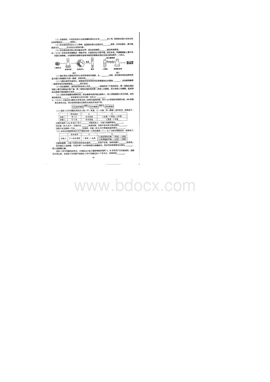 高考理综试题及答案四川卷 图片版.docx_第3页