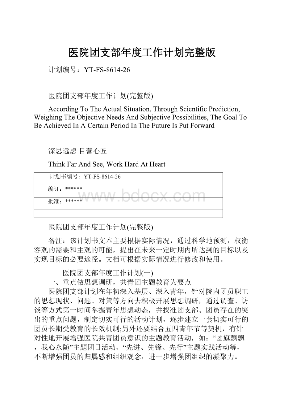 医院团支部年度工作计划完整版文档格式.docx