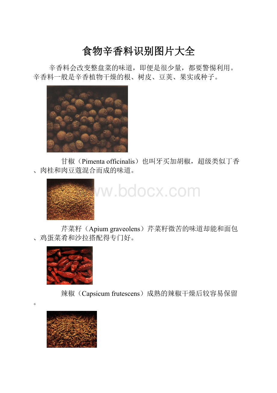 食物辛香料识别图片大全Word文档下载推荐.docx