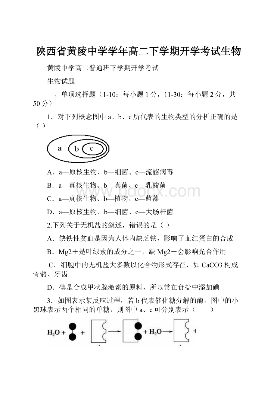 陕西省黄陵中学学年高二下学期开学考试生物.docx