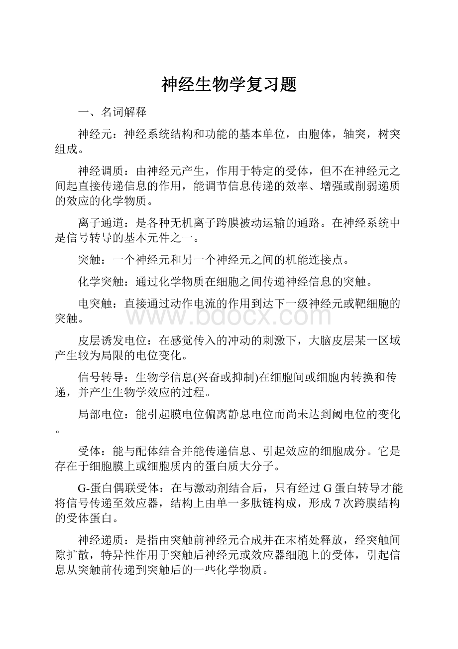 神经生物学复习题Word文档下载推荐.docx