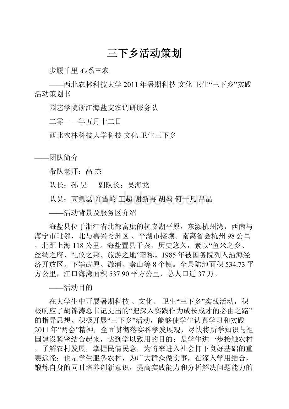 三下乡活动策划Word格式文档下载.docx_第1页