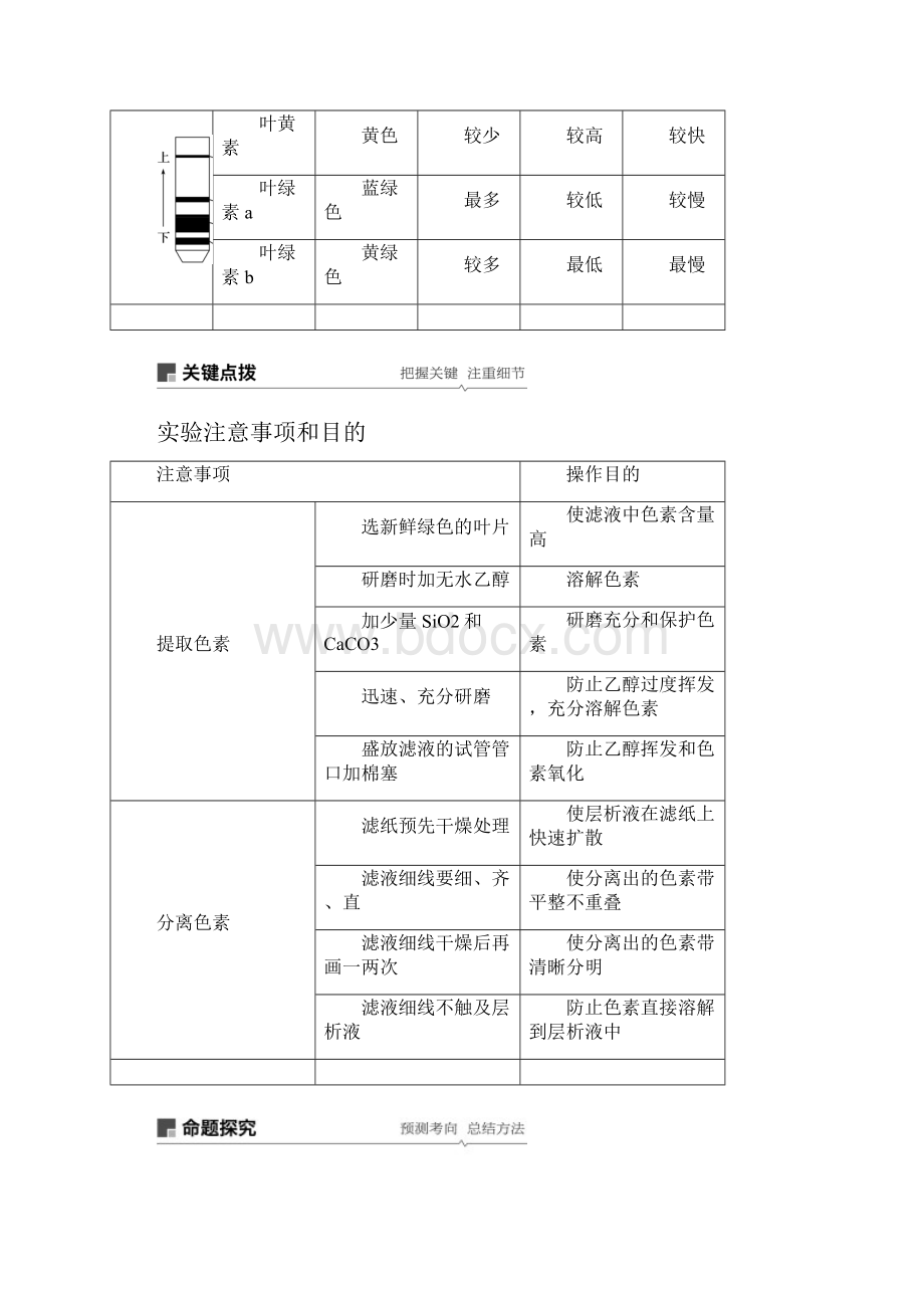 高考生物复习题细胞的能量供应和利用光与光合作用讲义.docx_第2页