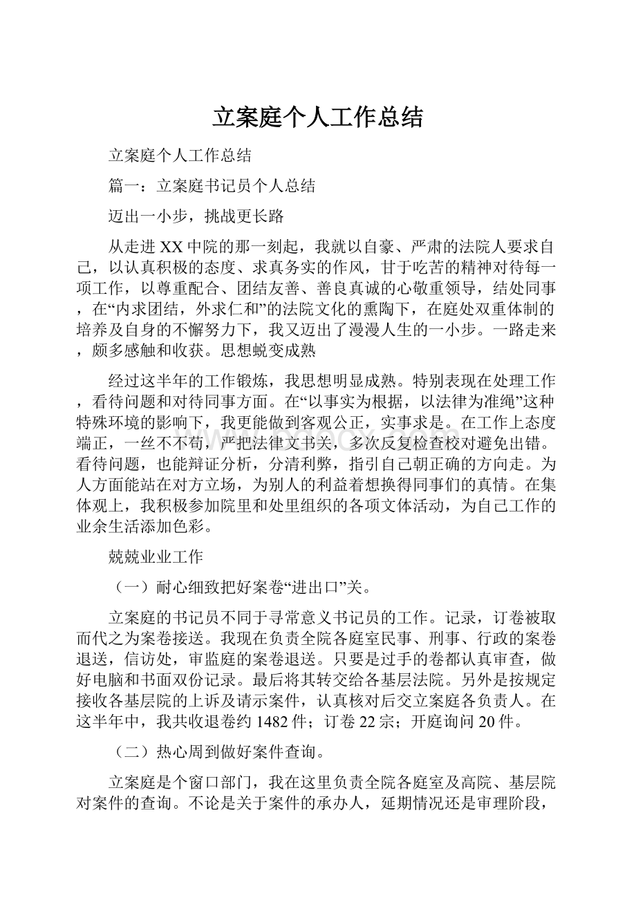 立案庭个人工作总结.docx