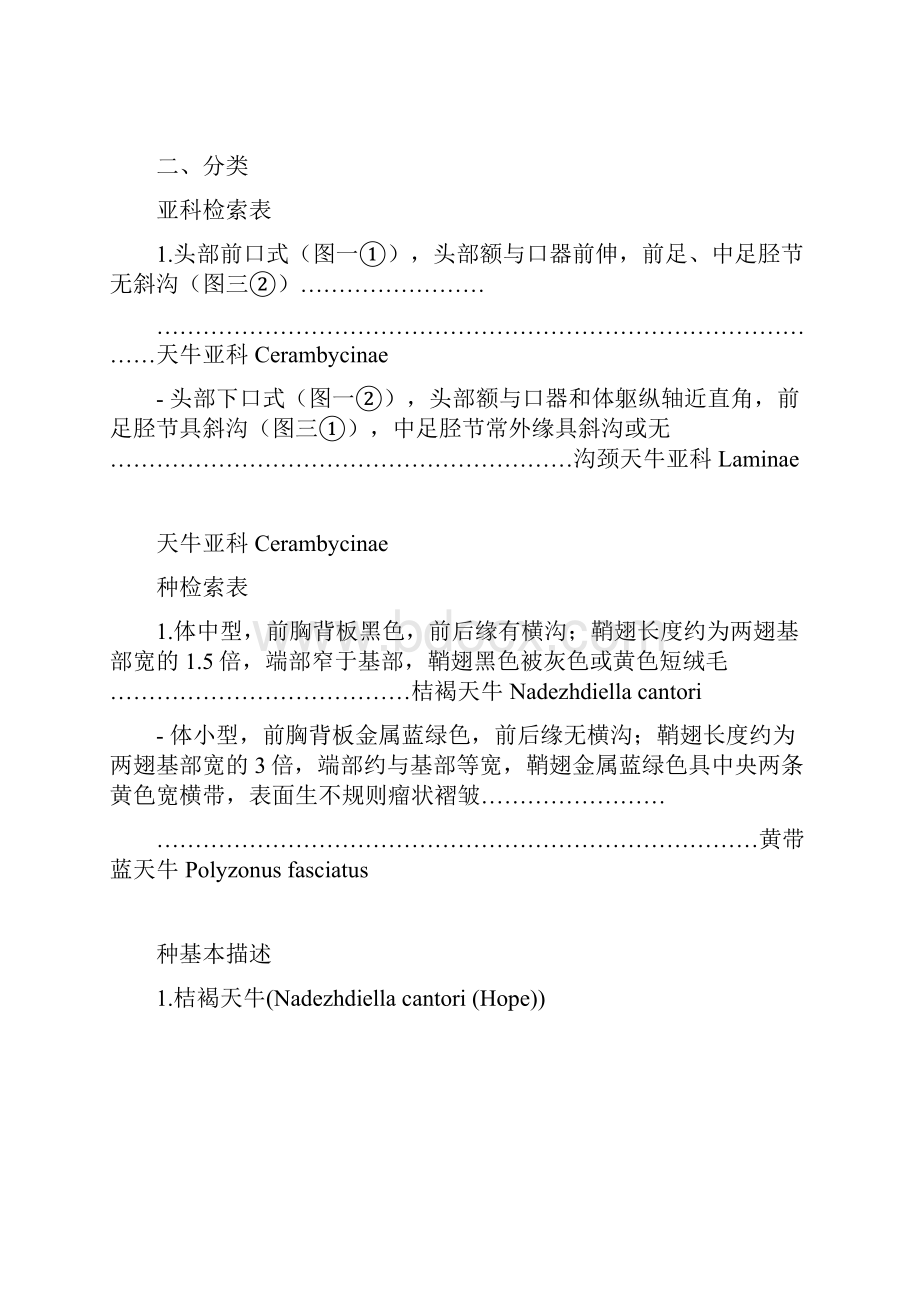 昆虫分类学鉴定天牛检索表Word格式.docx_第3页