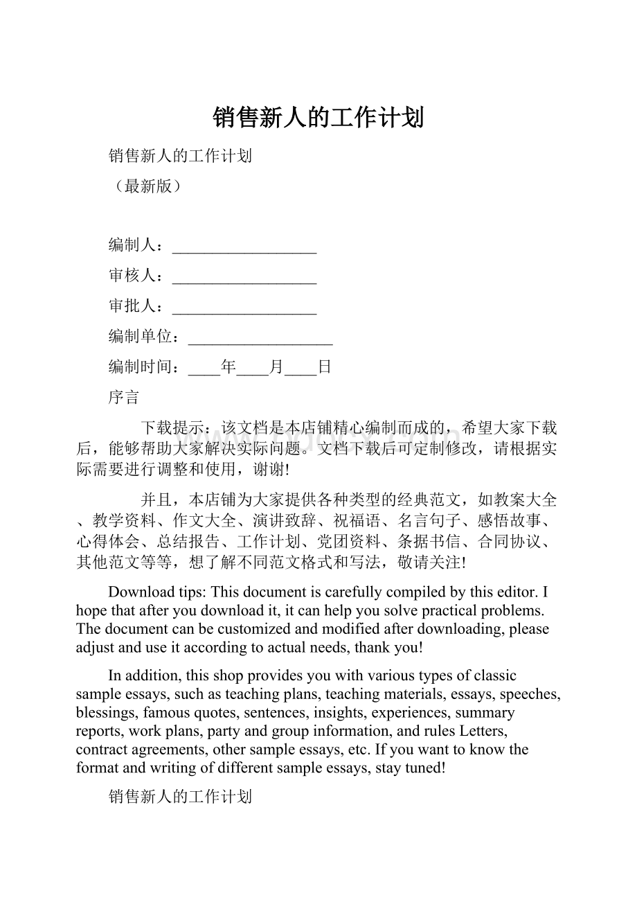 销售新人的工作计划.docx_第1页