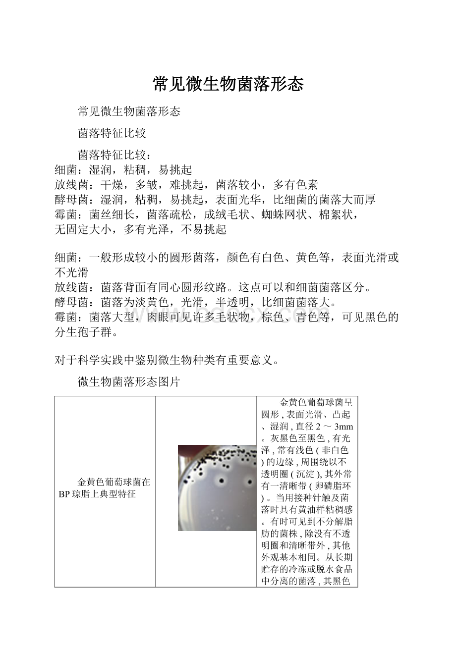 常见微生物菌落形态Word下载.docx_第1页