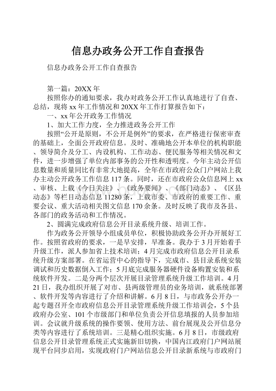 信息办政务公开工作自查报告.docx_第1页