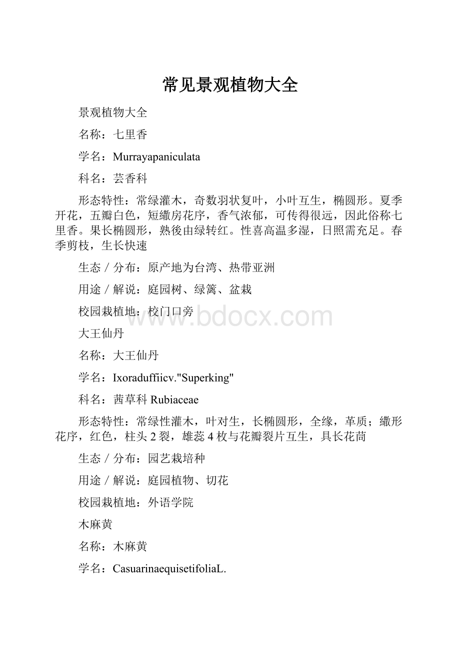 常见景观植物大全Word格式.docx_第1页