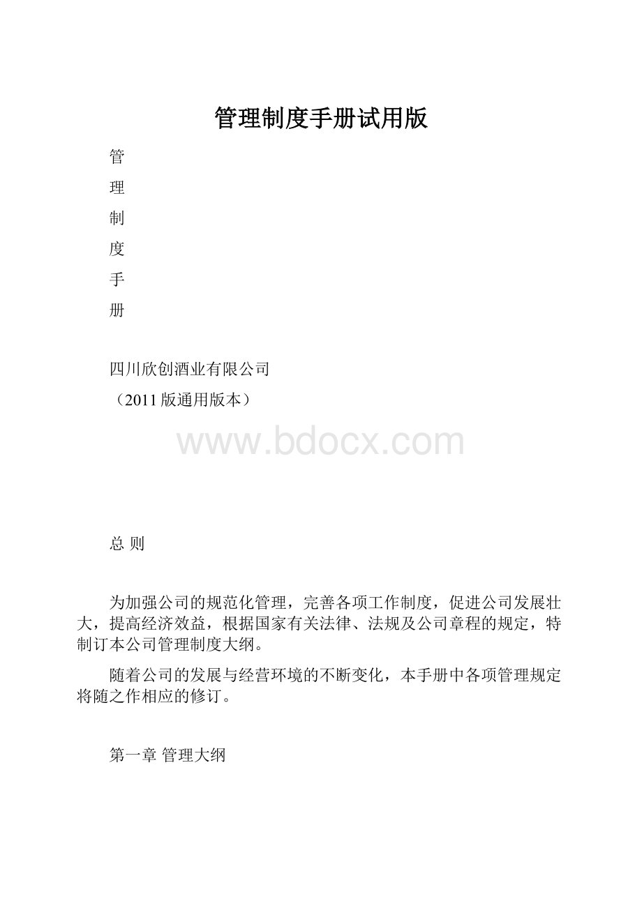 管理制度手册试用版.docx