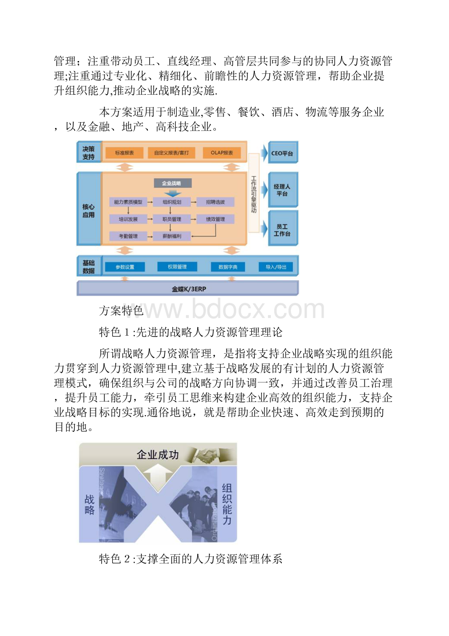 战略人力资源管理解决方案用心整理精品资料Word文档格式.docx_第2页