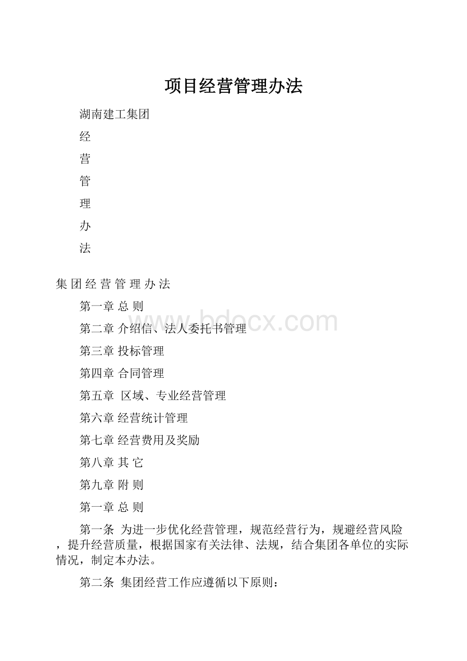 项目经营管理办法Word格式文档下载.docx_第1页