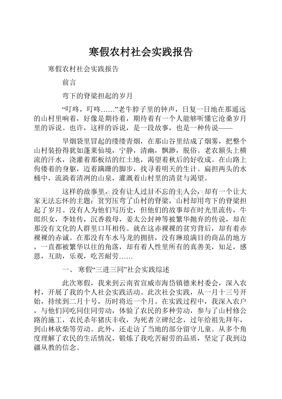 寒假农村社会实践报告Word文档下载推荐.docx_第1页