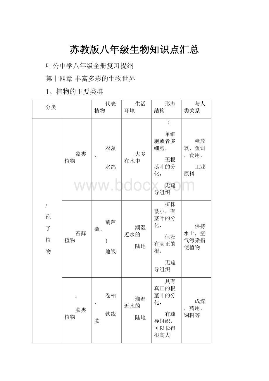 苏教版八年级生物知识点汇总Word文档格式.docx