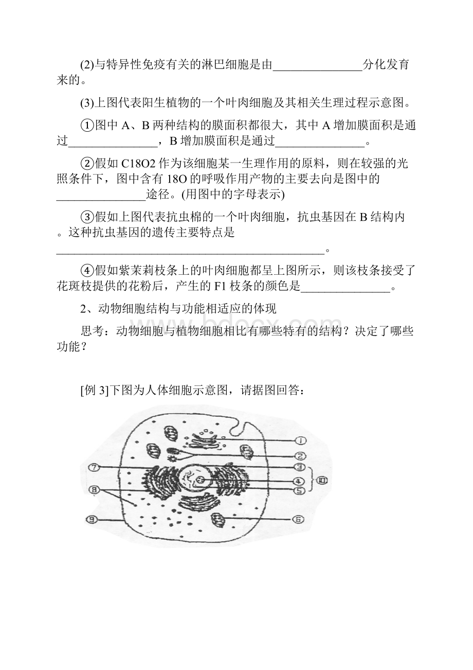 高考生物二轮专题复习讲义生物学中结构与功能相适应思想的体现与细胞工程.docx_第3页