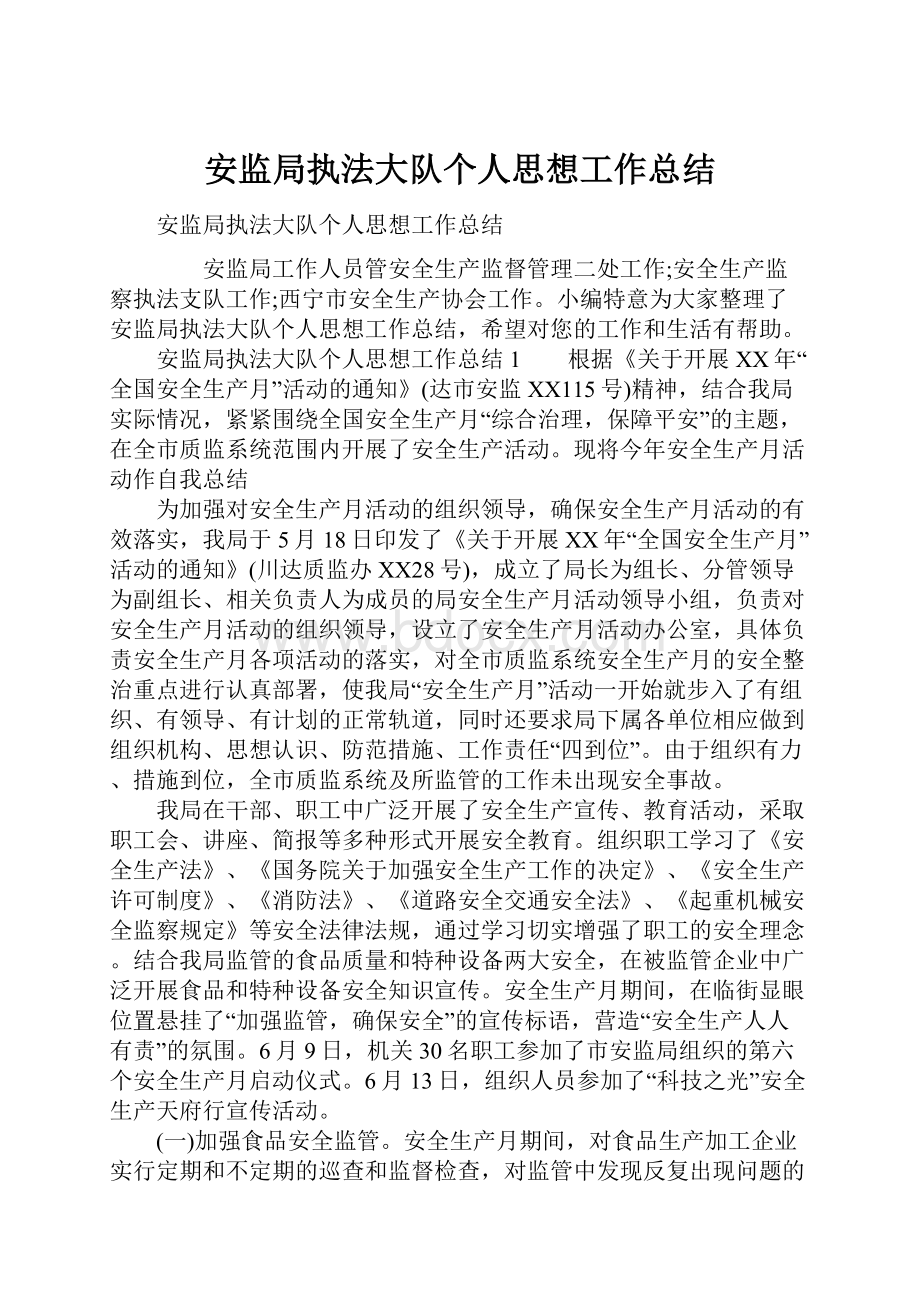 安监局执法大队个人思想工作总结文档格式.docx