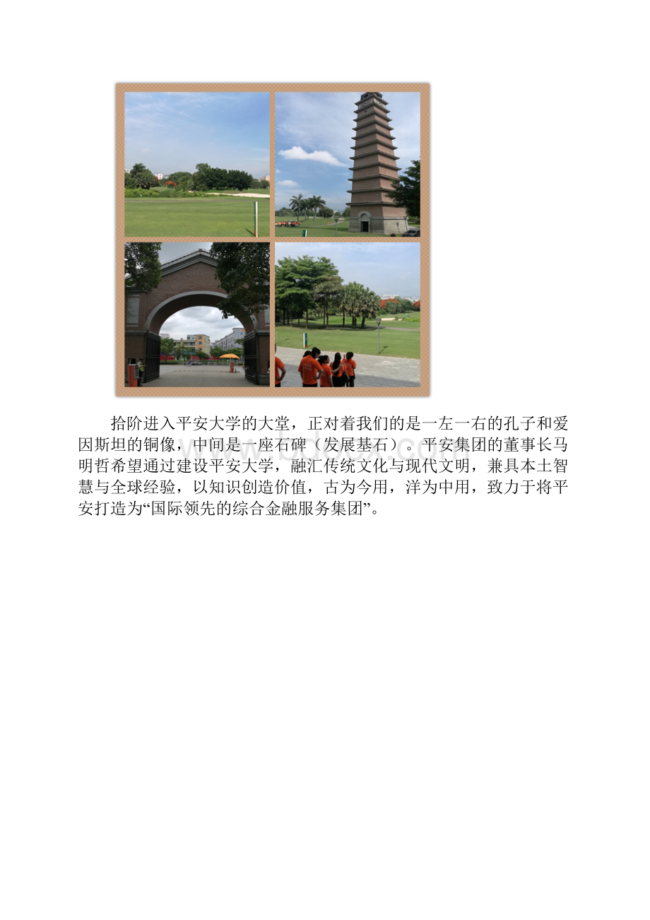 平安大学调研报告.docx_第2页