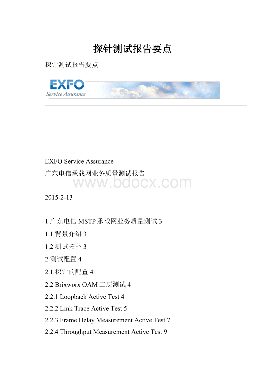 探针测试报告要点Word文档格式.docx_第1页