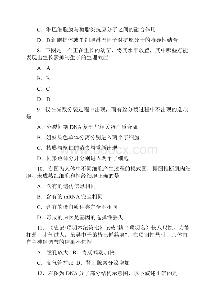 上海市松江区高三上学期期末质量监控生命科学试题有答案名校密卷.docx_第3页